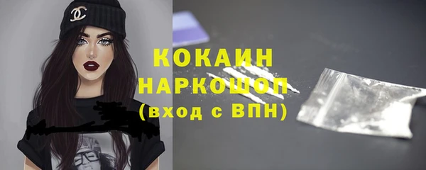 сатива Арсеньев