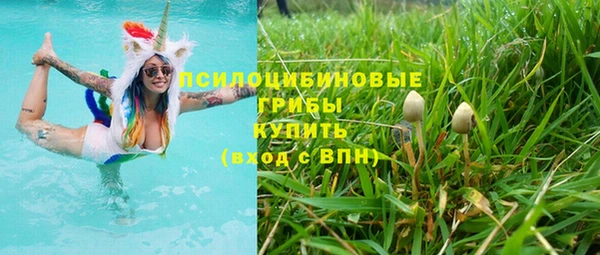 сатива Арсеньев