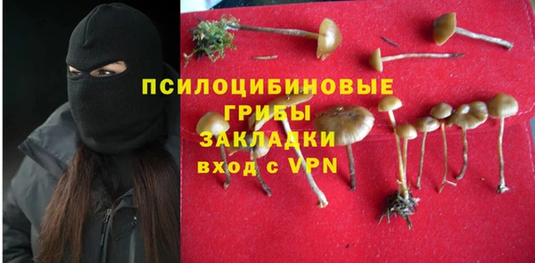 соль ск Аркадак