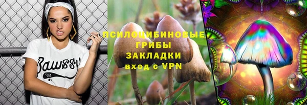 метадон Армянск