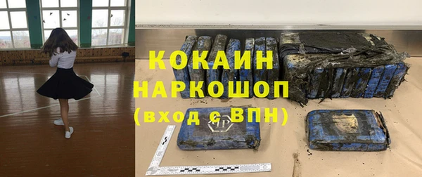 сатива Арсеньев