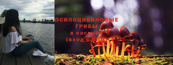 сатива Арсеньев